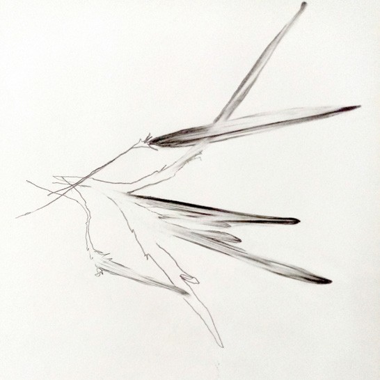 Carole Beugniet, Sans_titre, 2022, mine de plomb, 25 x 25 cm