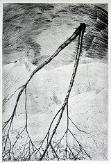 Michel BARZIN 
