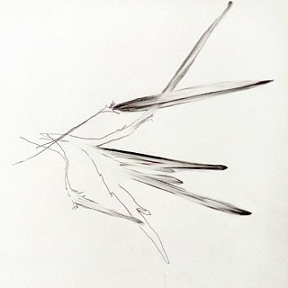 Carole Beugniet, Sans_titre, 2022, mine de plomb, 25 x 25 cm 