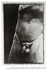 Bert Van Pelt / Confusion 