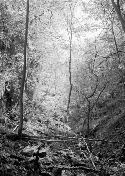 Thomas Chable, Ry d'Oneux (détail), 2021 